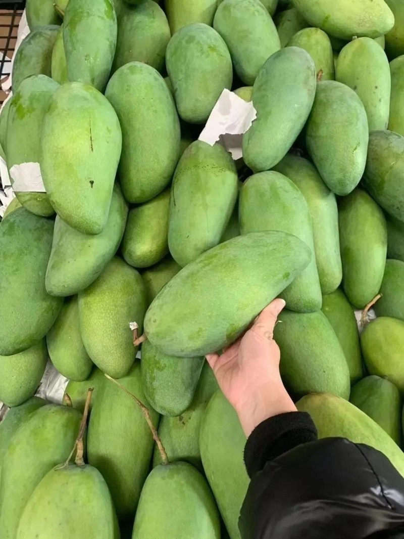 大青芒工厂果电商果次果花果果干芒果