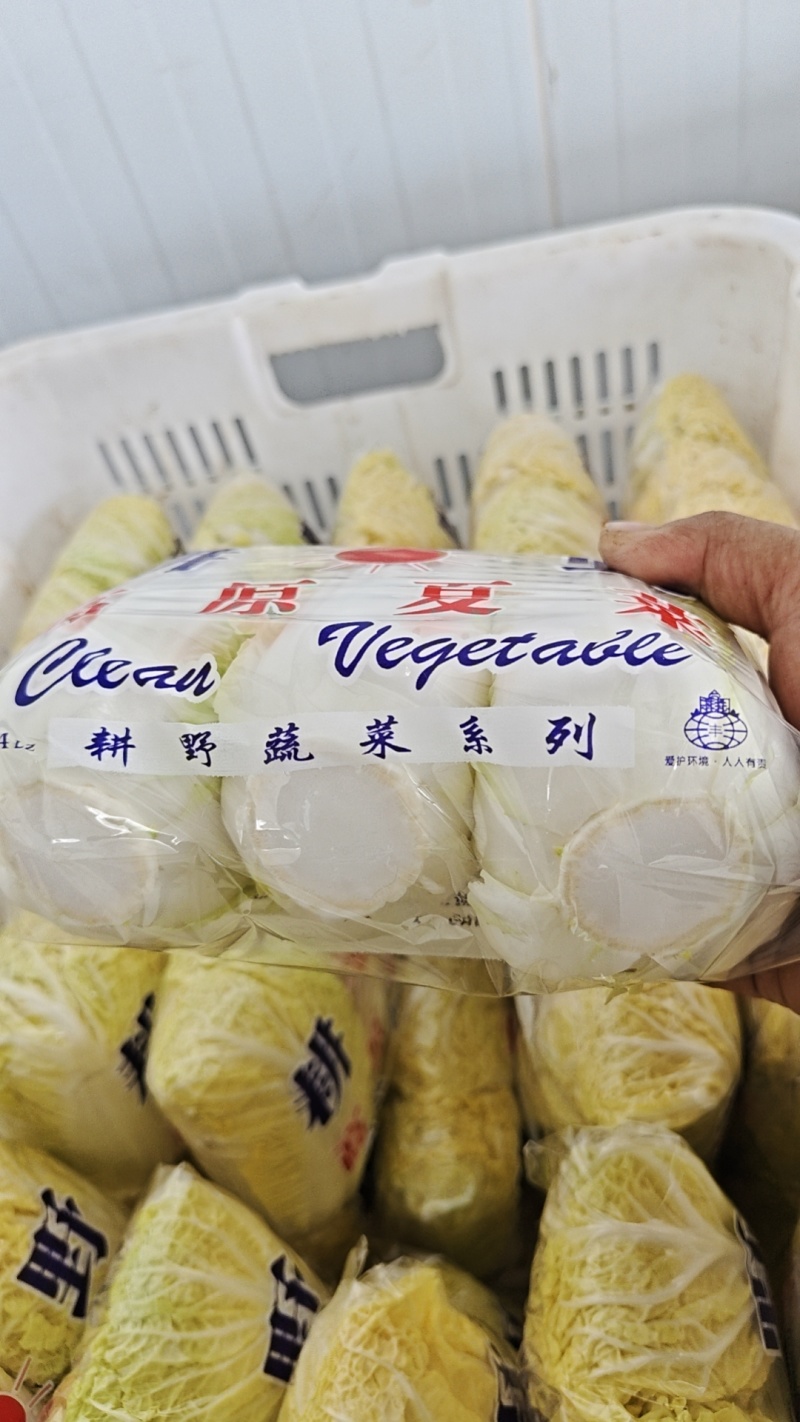 黄心娃娃菜