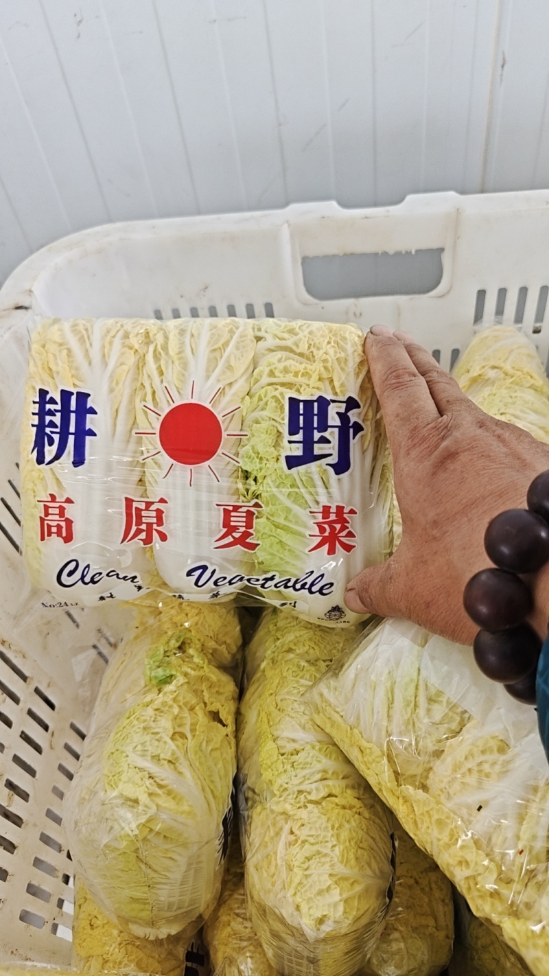 黄心娃娃菜