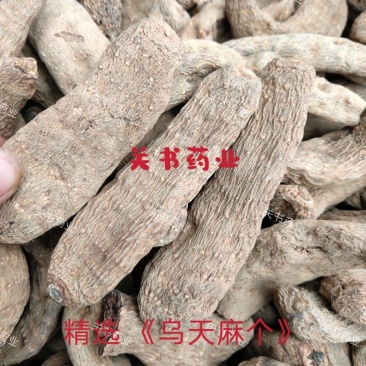 乌天麻选个云南乌天麻精品批发中药材规格齐全