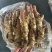 【精品】山东红芽嫩姜大量上市有质有量支持一件代发