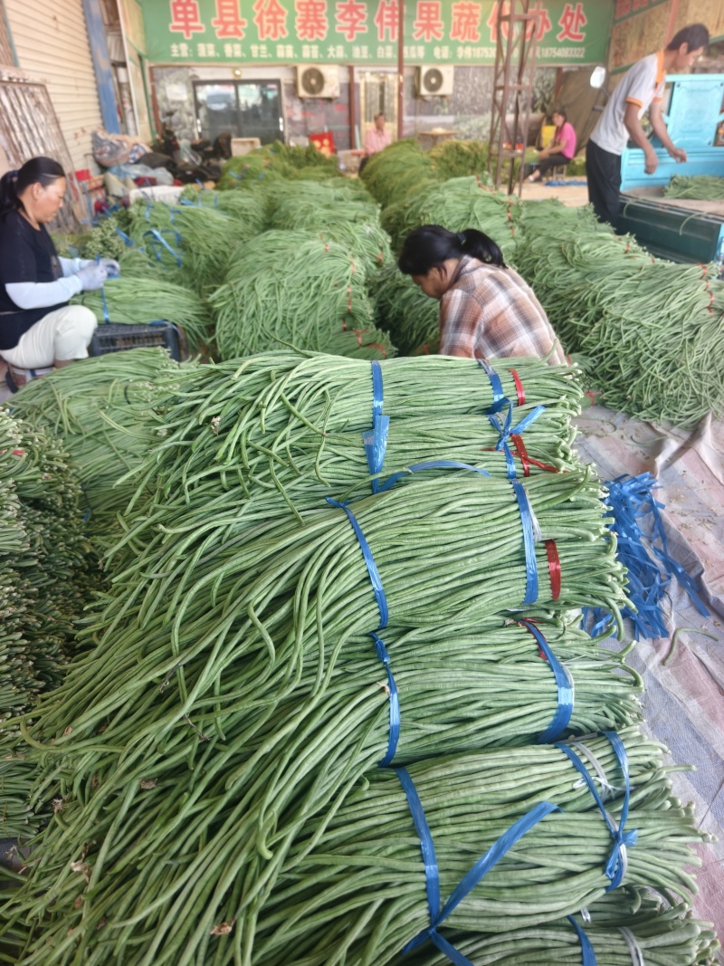 长豆角大量供应，产地直发，货源充足
