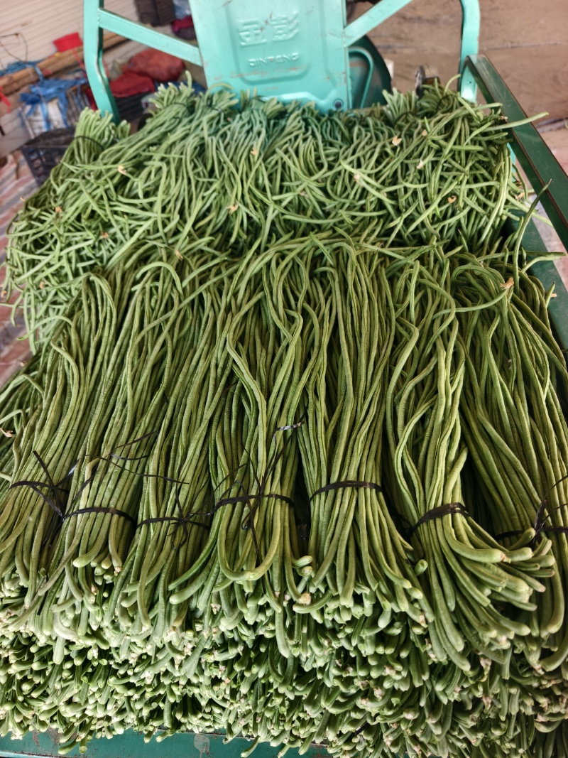 长豆角大量供应，产地直发，货源充足