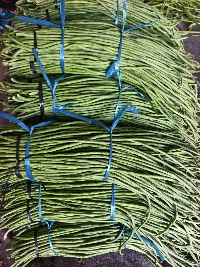 长豆角大量供应，产地直发，货源充足