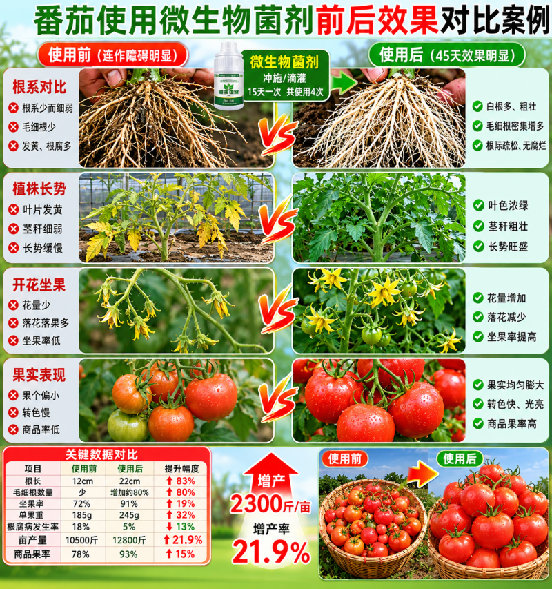 微生物菌剂实际有效活菌大于5亿地衣芽孢杆菌复合菌