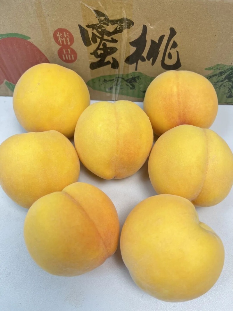 黄金蜜一号桃毛桃大量上市品质保证诚信经营欢迎来电