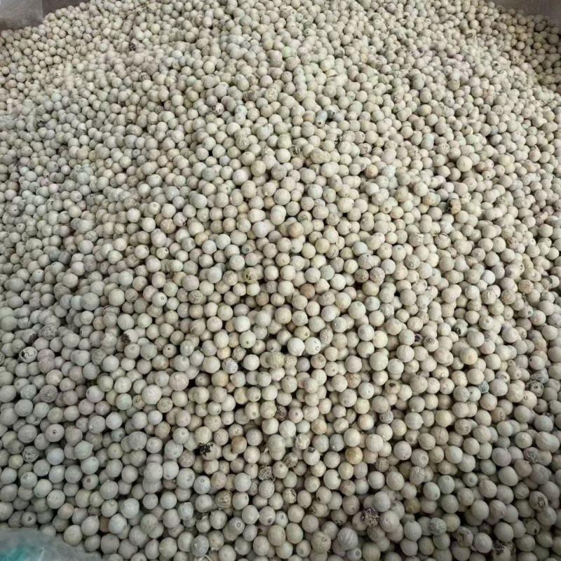 海南白胡椒