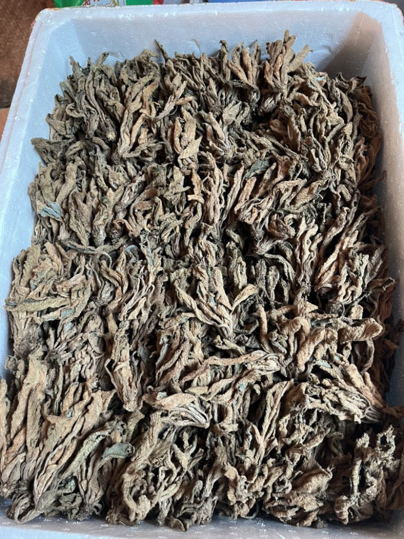 野生石上莲干货还有17斤