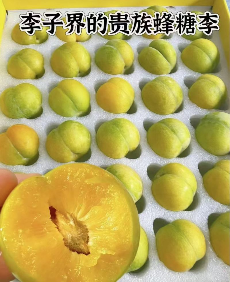 质量放在**