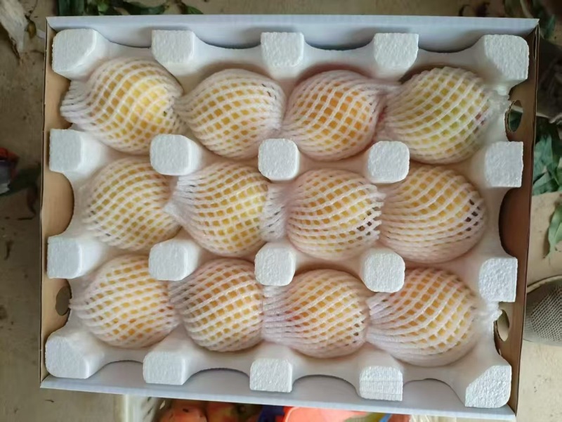 枣阳皇桃黄桃精品果礼盒装桃子产地直供一件代发