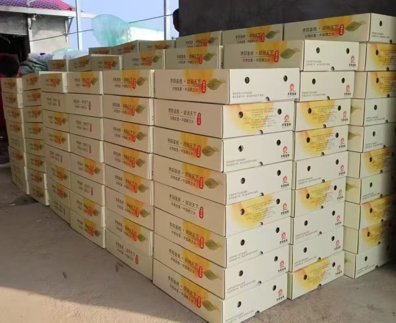 枣阳皇桃黄桃精品果礼盒装桃子产地直供一件代发