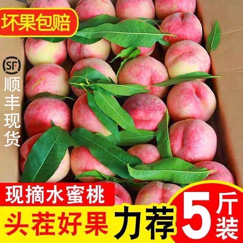 枣阳皇桃水蜜桃红桃毛桃