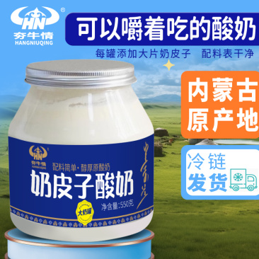 酸奶可以嚼着吃的奶皮子酸奶冷链发货奶香浓郁包邮到家