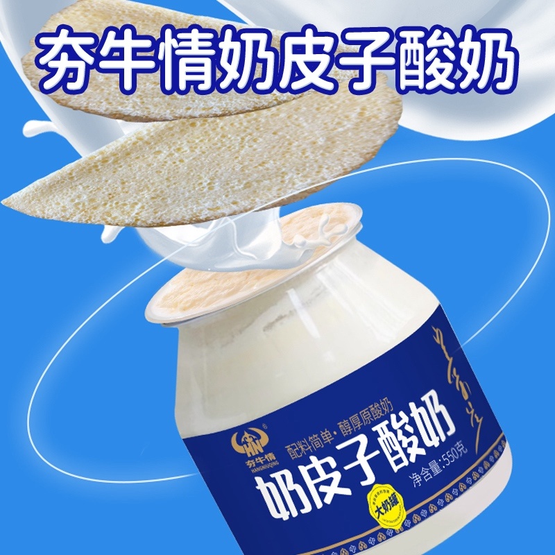 酸奶可以嚼着吃的奶皮子酸奶冷链发货奶香浓郁包邮到家