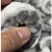 牡丹虾球原料20斤/箱8-25