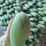 贵妃芒，金煌芒，台农