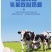 牛初乳卖奶片奶贝工厂源头直发奶香浓郁包邮到家