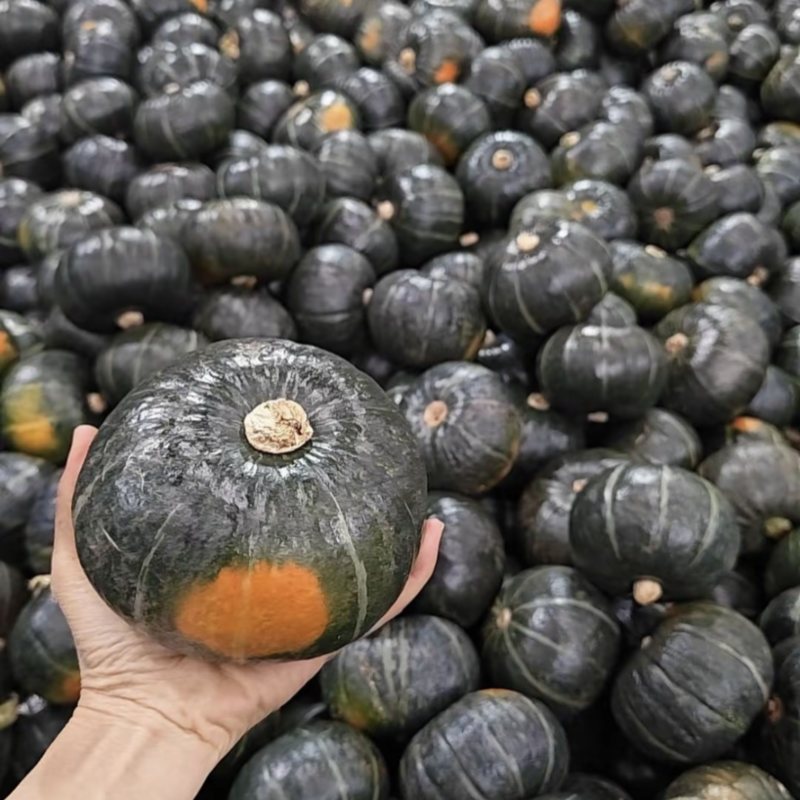 粉粉糯糯的贝贝南瓜软糯香甜农户产地直供