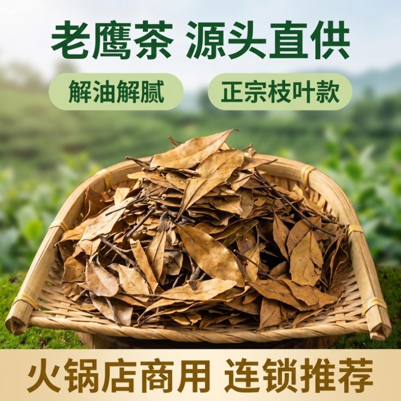老鹰茶源头厂家，火锅餐饮店商用，长期稳定供货，高温煅炒品质