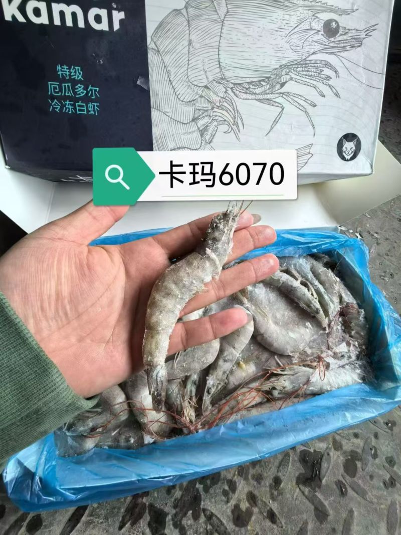 厄瓜多尔虾