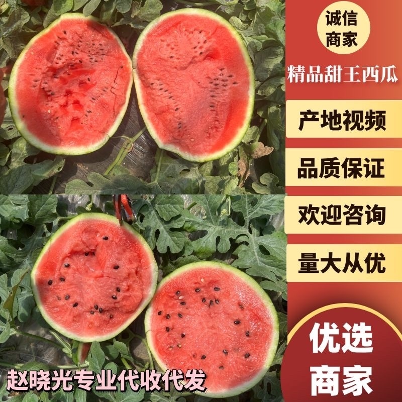 供应辽宁甘美4k西瓜（辽宁西瓜代办）辽宁甘美4k西瓜