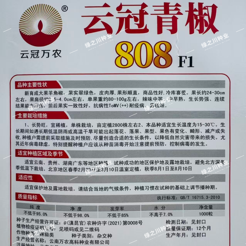云冠青椒808辣椒种子特大果羊角椒种子抗病翠绿大尖椒种子