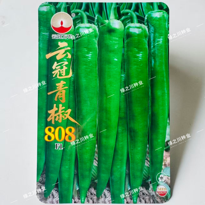 云冠青椒808辣椒种子特大果羊角椒种子抗病翠绿大尖椒种子