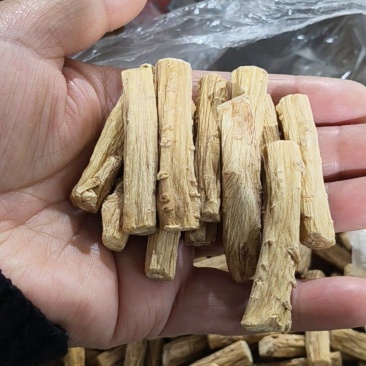 甘肃白条党参节子0.8-1.0的