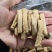 甘肃白条党参节子0.8-1.0的