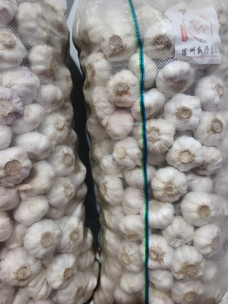 精品优质紫皮大蒜！质量保障！量大价优！可长期供货！