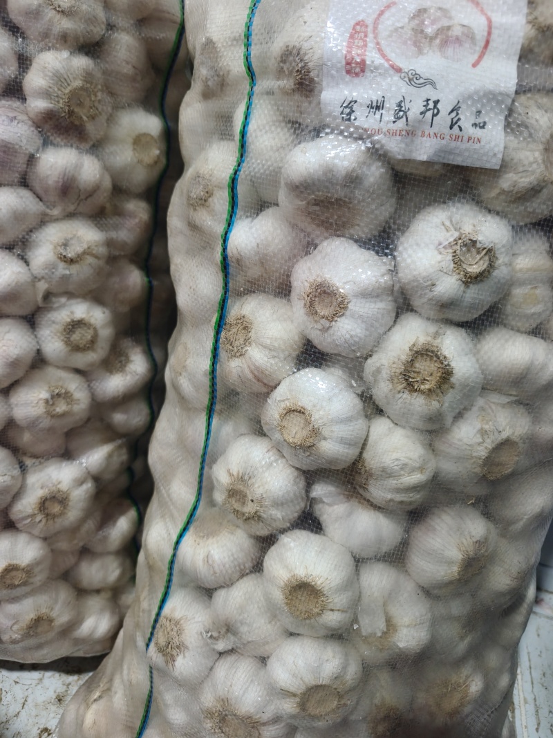 精品优质紫皮大蒜！质量保障！量大价优！可长期供货！