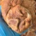 【卤味】酱香去皮小肘子