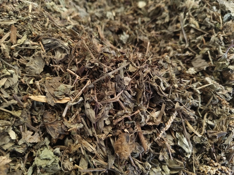 车前草新货车前草颜色青干净无杂质大货批发零售