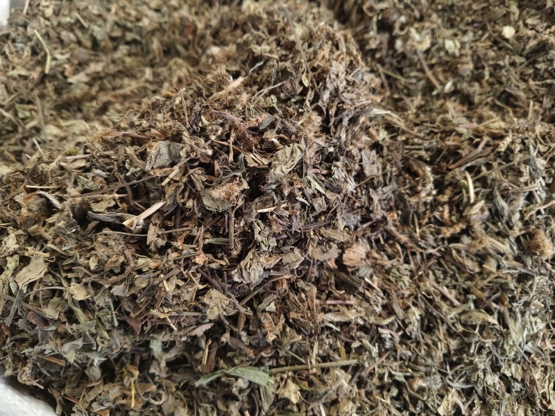 车前草新货车前草颜色青干净无杂质大货批发零售
