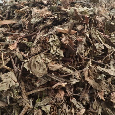 车前草新货车前草颜色青干净无杂质大货批发零售