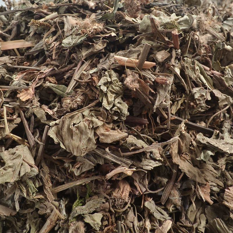 车前草新货车前草颜色青干净无杂质大货批发零售