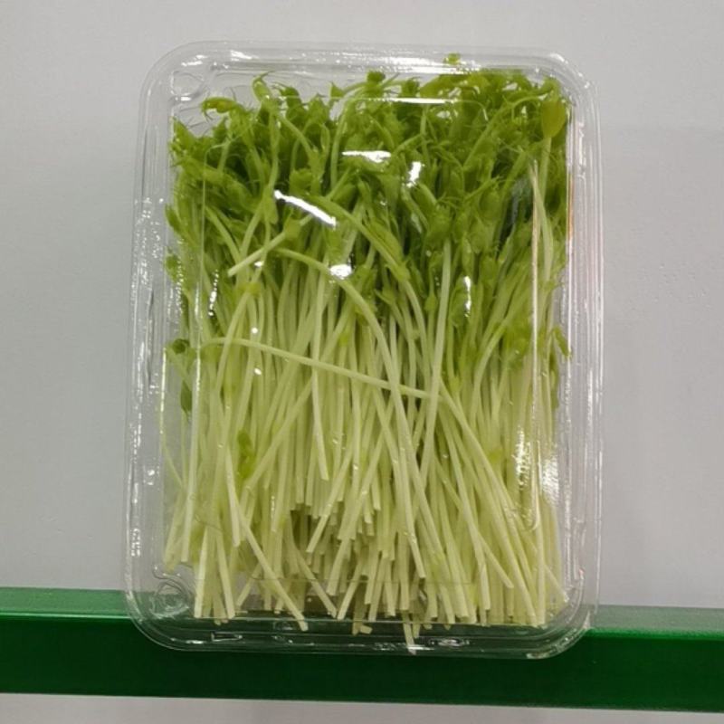 产地直供，特优豌豆芽，***。