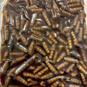 麻辣钉螺下酒神器