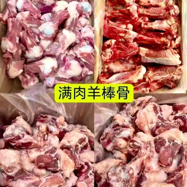 精品多肉羊棒骨满肉羊棒骨羔羊前棒后棒熬汤羊棒骨