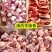 精品多肉羊棒骨满肉羊棒骨羔羊前棒后棒熬汤羊棒骨