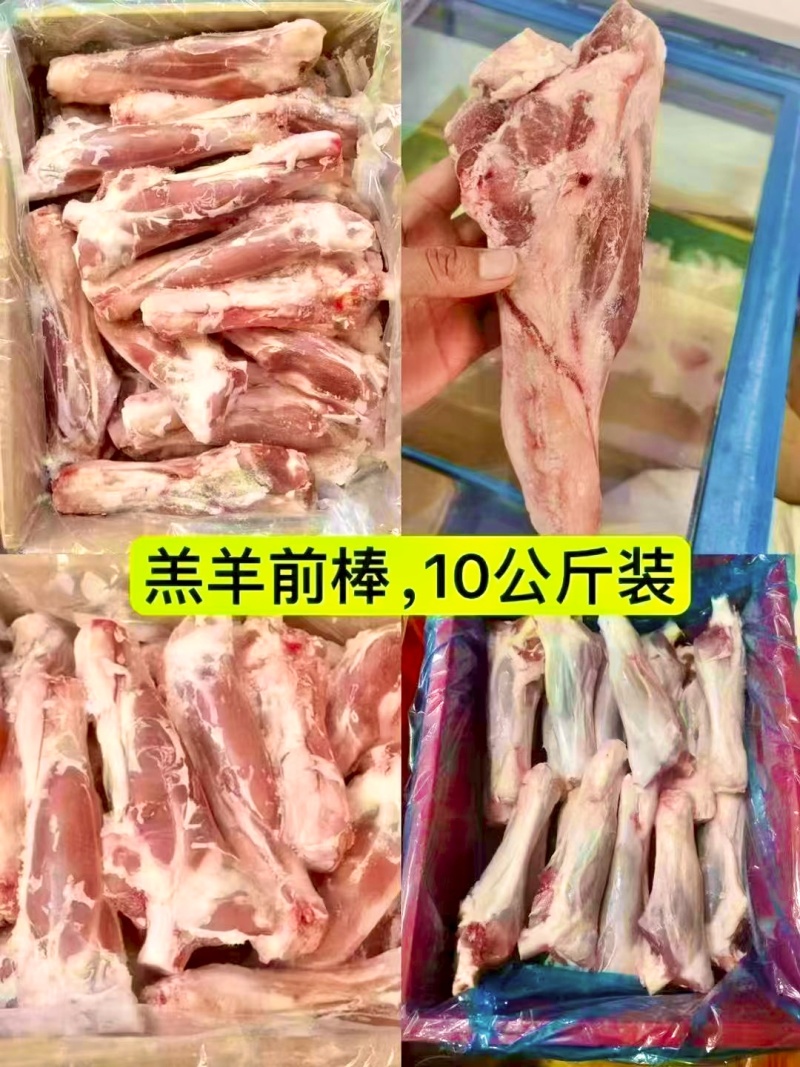 精品多肉羊棒骨满肉羊棒骨羔羊前棒后棒熬汤羊棒骨