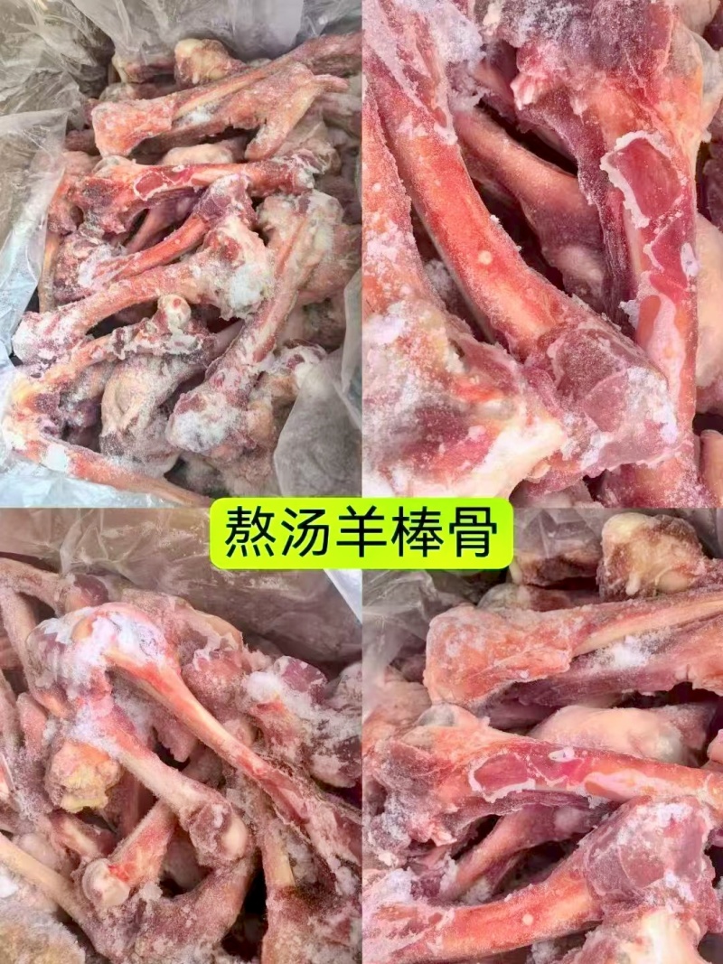 精品多肉羊棒骨满肉羊棒骨羔羊前棒后棒熬汤羊棒骨