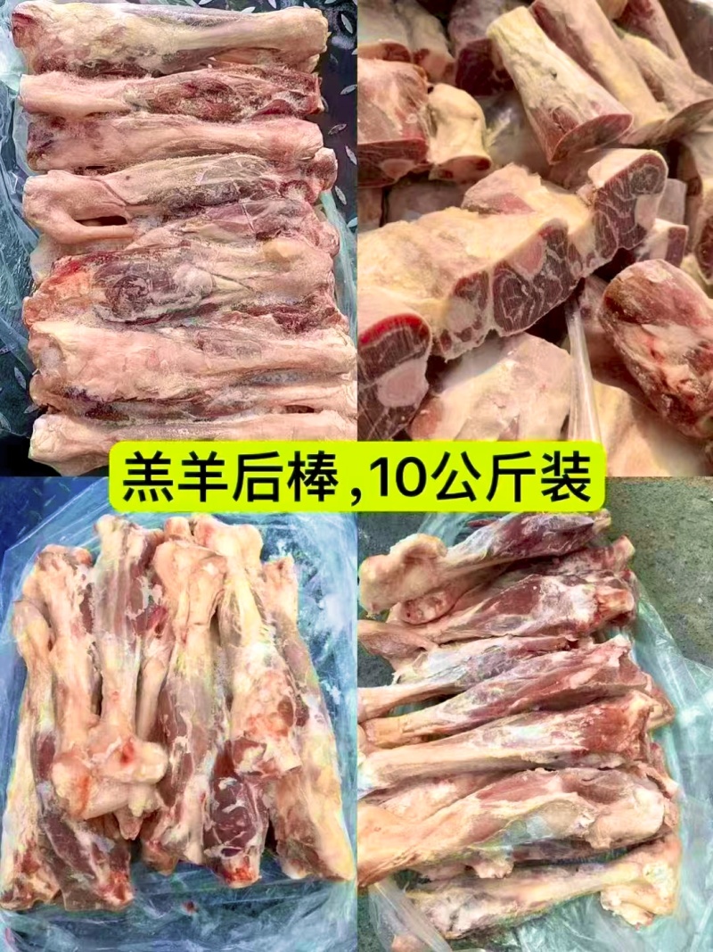 精品多肉羊棒骨满肉羊棒骨羔羊前棒后棒熬汤羊棒骨