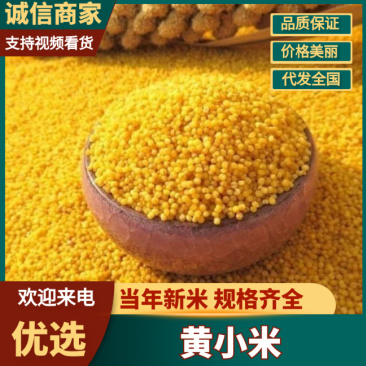 纯正农家小米天然健康