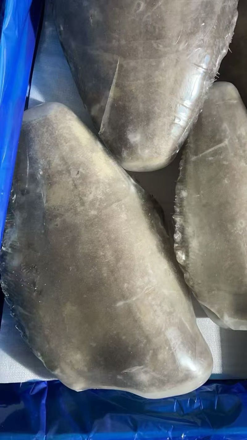 格陵兰比目鱼鱼身，格陵兰比目鱼，鲽鱼身