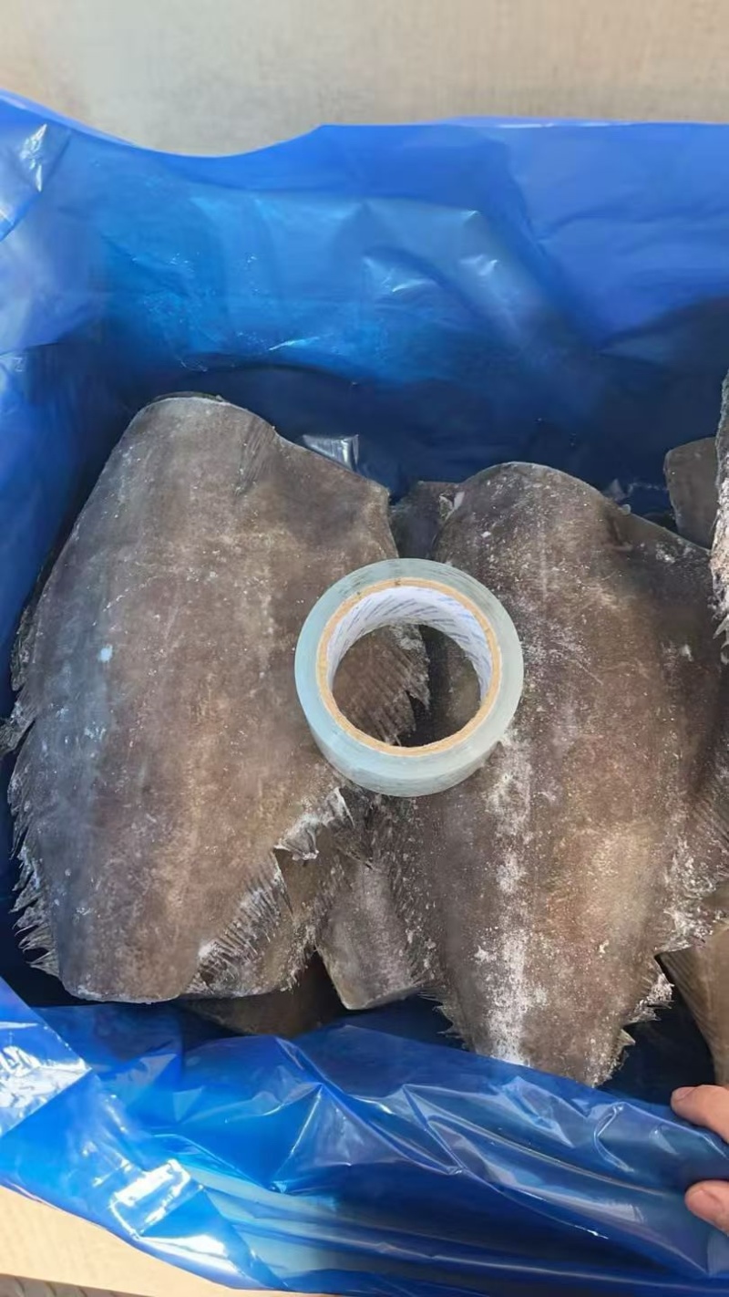 格陵兰比目鱼鱼身，格陵兰比目鱼，鲽鱼身