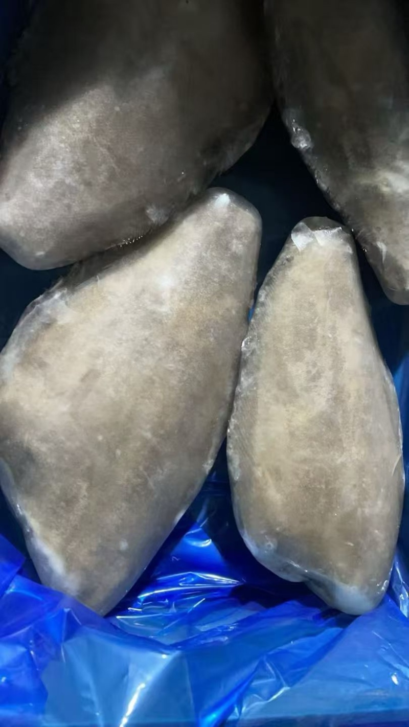 格陵兰比目鱼鱼身，格陵兰比目鱼，鲽鱼身