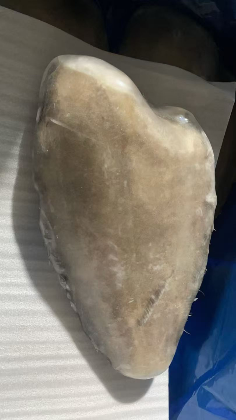 格陵兰比目鱼鱼身，格陵兰比目鱼，鲽鱼身