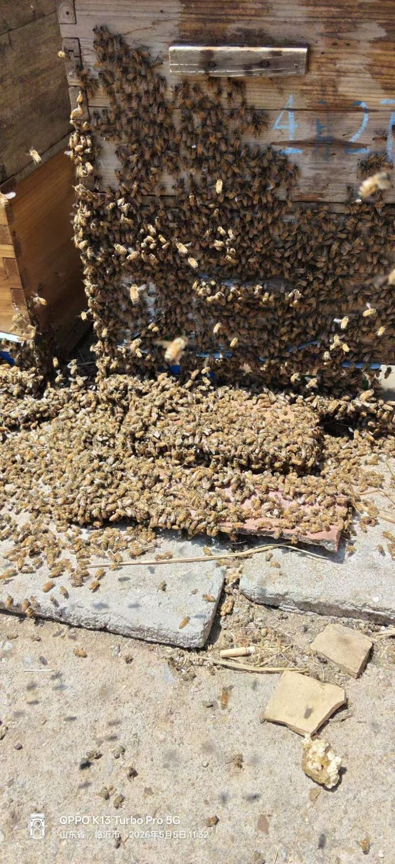野生土蜂蜜大量现货全国包邮
