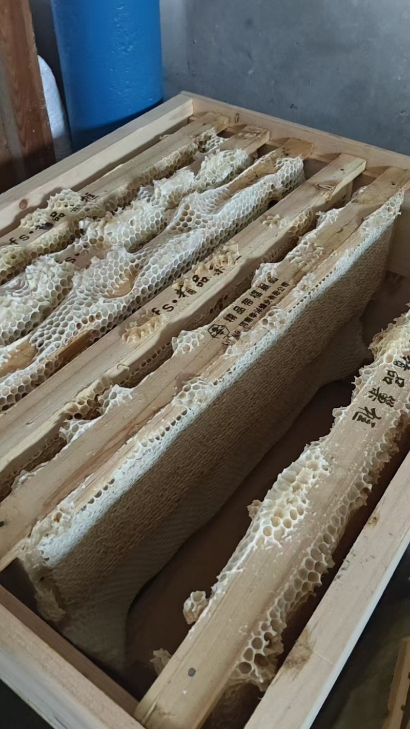 野生土蜂蜜大量现货全国包邮